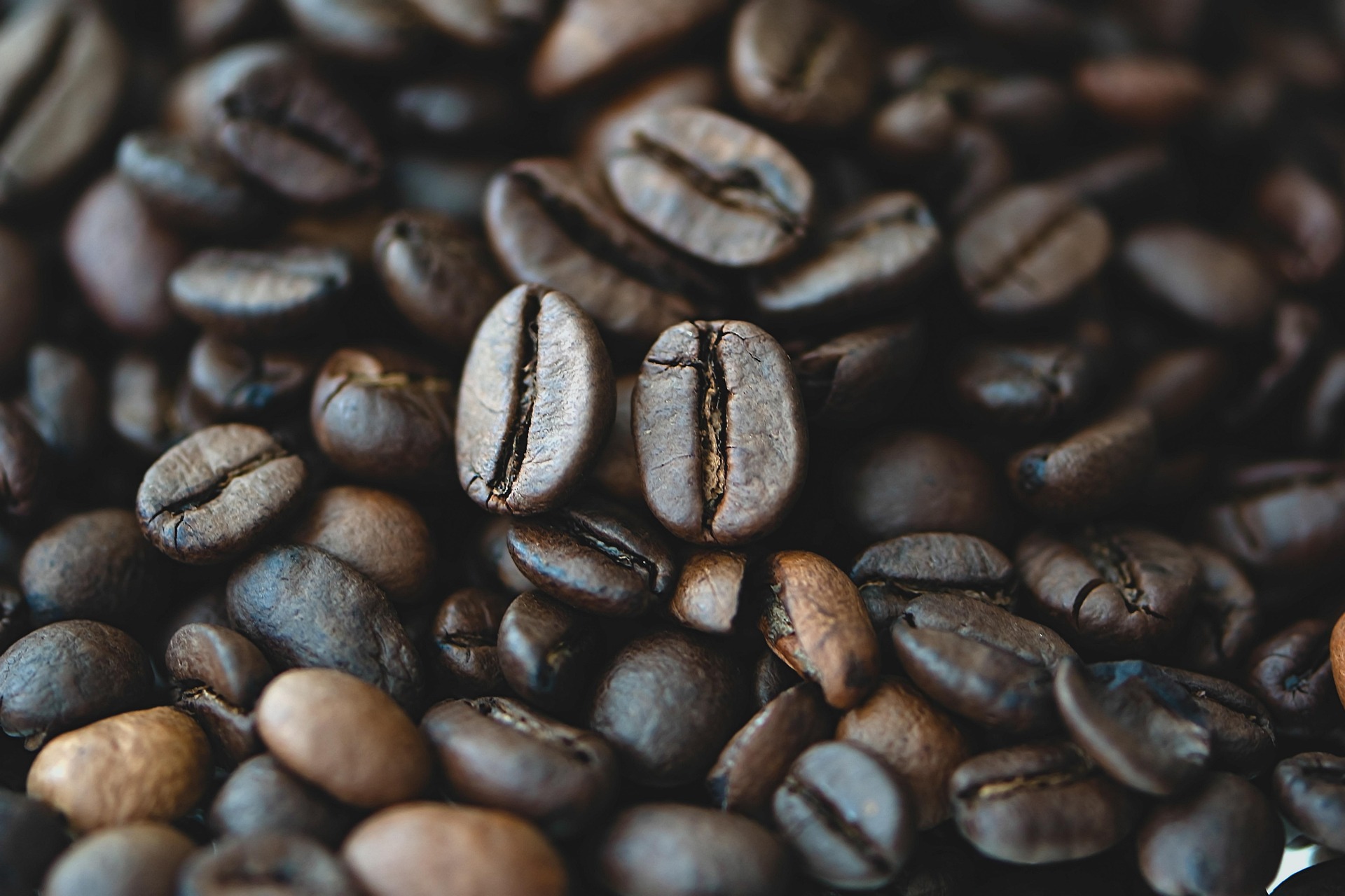 Coffee Sustainability